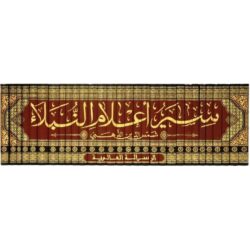 سير أعلام النبلاء – 30 مجلدًا