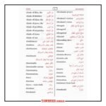 قاموس المصطلحات الإسلامية (إنجليزي-عربي وعربي-إنجليزي) - Image 4