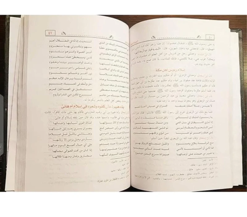 السيرة النبوية لابن هشام (طبعة دار الأفهام) - Image 4