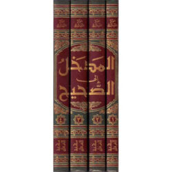 المدخل إلى الصحيح - ربيع المدخلي