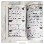 أحسن القواعد (إضافة جديدة ومنقحة) - إنجليزي - 5 قطع