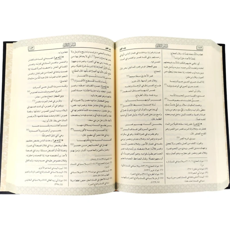 أساس البلاغة