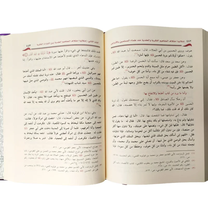 اختلاف المفاهيم الفكرية في الأندلس - دراسة تاريخية عميقة