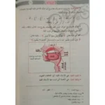 الرحمن علم القرآن