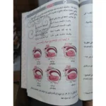 الرحمن علم القرآن