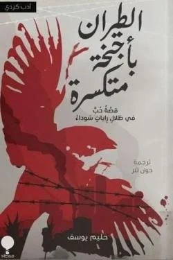 الطيران بأجنحة متكسرة