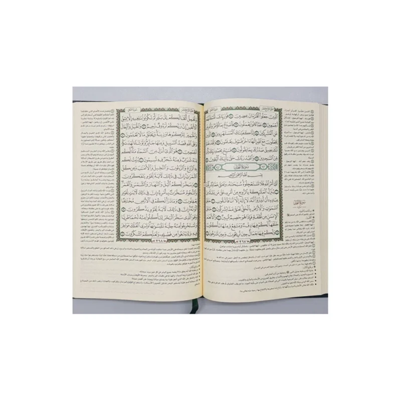 المختصر في تفسير القرآن الكريم - تفسير مبسط وسهل لفهم معاني الآيات