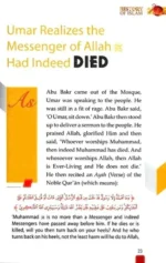 تاريخ الإسلام: عصر الخلفاء الراشدين | 4 مجلدات شاملة | مرجع تاريخي