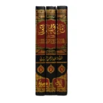 تاريخ الجبرتي: عجائب الآثار في التراجم والأخبار (3 أجزاء)