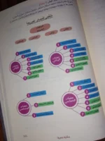 حكاية نحوية في النحو والصرف والإملاء - قصة تعليمية شاملة