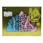 سجدة - سجادتي صلاة لك ولها