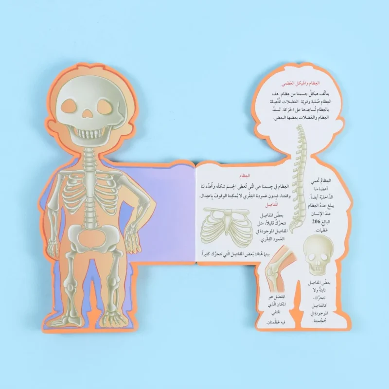 سلسلة هذا أنا: جسمي