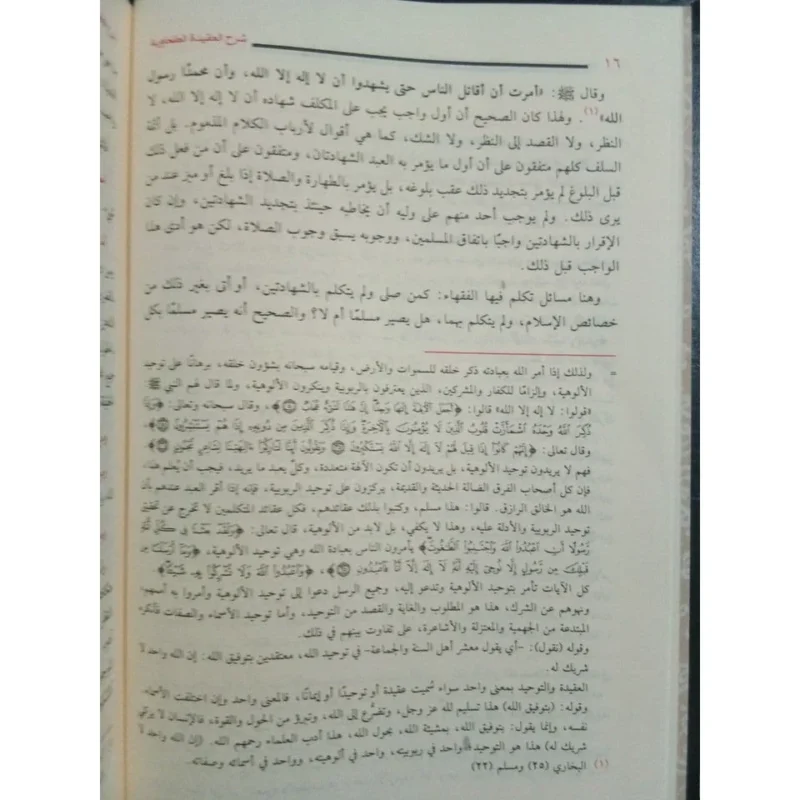 شرح العقيدة الطحاوية