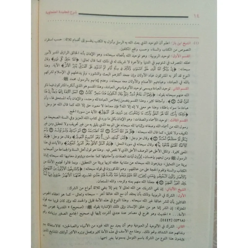 شرح العقيدة الطحاوية