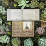 عدد 50 كتيب تفسير وبيان مقاس 12*17 سم - 13 سوره مع اذكار الصباح والمساء والدعاء للمتوفي