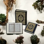 عدد 50 نسخة مصحف القرآن الكريم مقاس 07 * 10 سم مع تفسير الكلمات