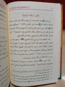 فصول من سيرة الرسول