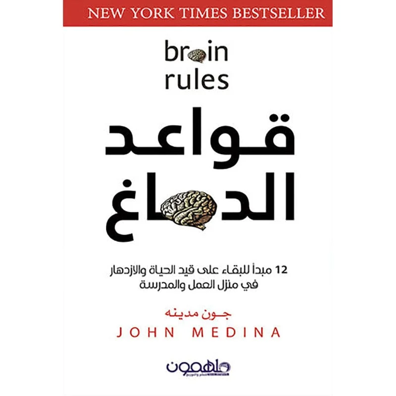 قواعد الدماغ قواعد الدماغ