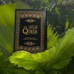 مصحف 14×20 تفسير معاني القران باللغة الانجليزية شاموا