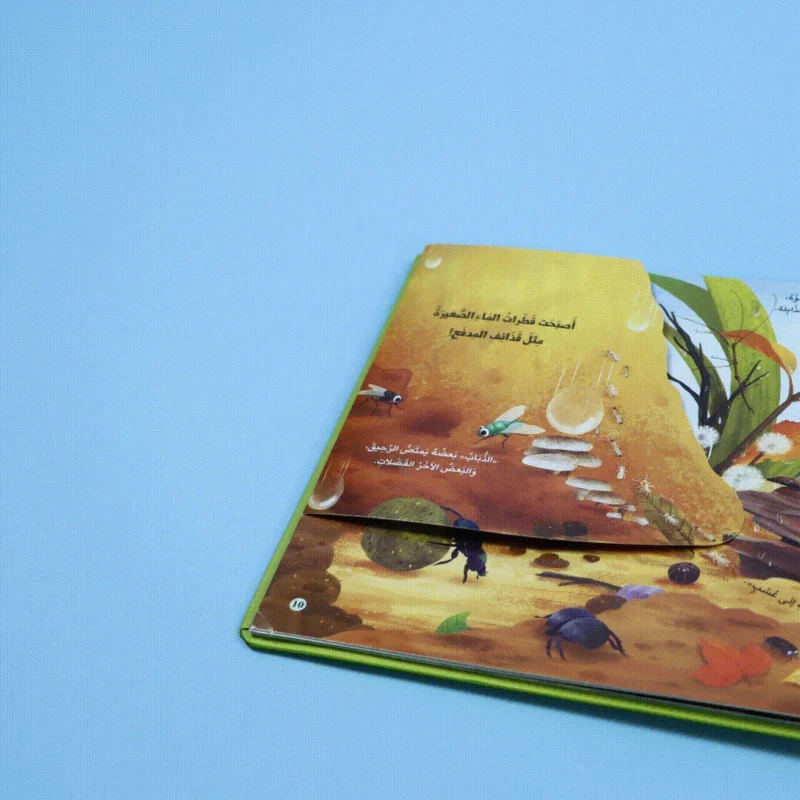 مملكة الحيوان: الحشرات