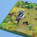 مملكة الحيوان: الغابة