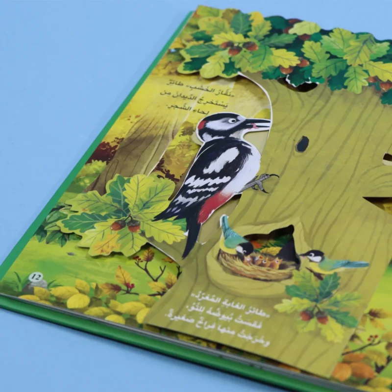 مملكة الحيوان: الغابة