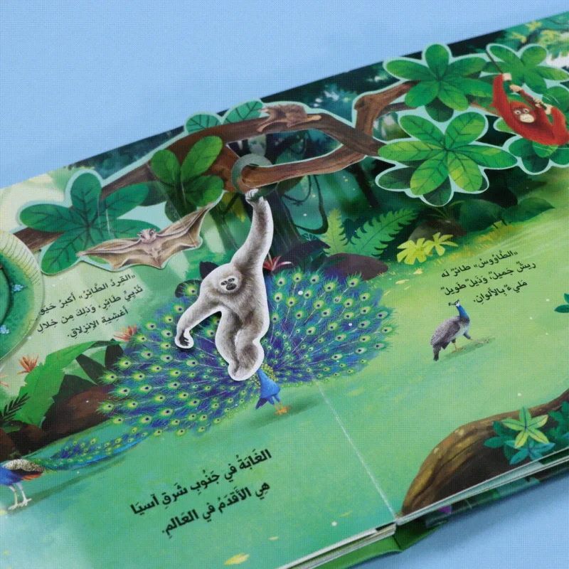 مملكة الحيوان: الغابة