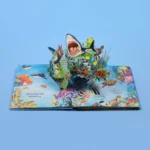 مملكة الحيوان: المحيط