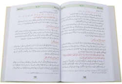 Tafsir Ma'ani Quran Part 29: Urdu 22 X 32 CM