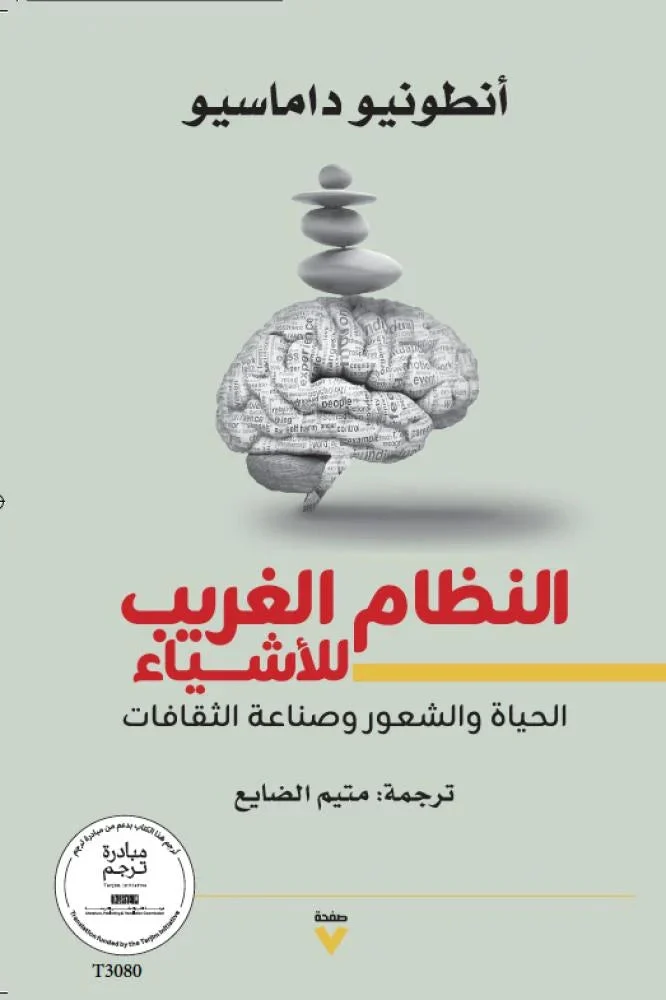 النظام الغريب للأشياء