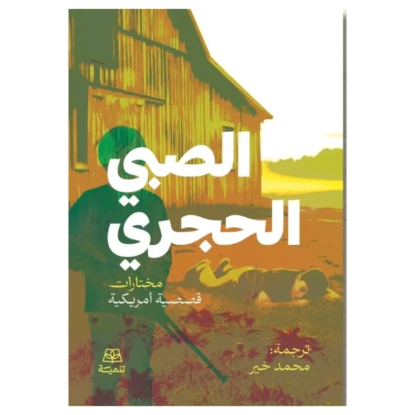 الصبي الحجري – رواية رمزية عن القوة والصمود - تأليف غير محدد